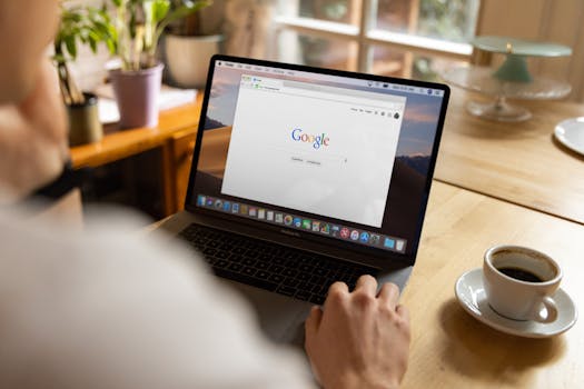 on page off page and technical SEO types